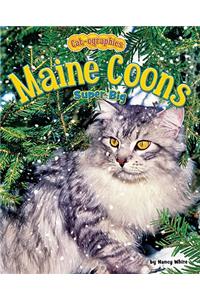 Maine Coons