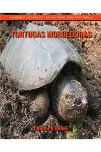 Tortugas mordedoras