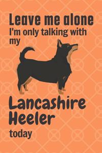 Leave me alone I'm only talking with my Lancashire Heeler today