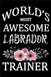 World's Most Awesome Labrador Trainer