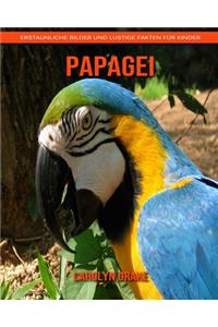 Papagei