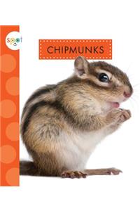 Chipmunks