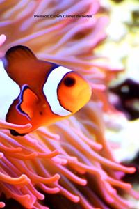 Poisson Clown Carnet de notes