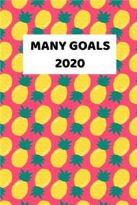 Many Goals 2020