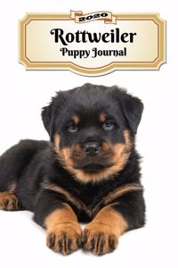 2020 Rottweiler Puppy Journal