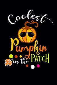 Coolest Pumpkin in The Patch