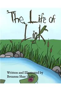 Life of Link