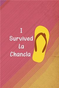 I Survived La Chancla