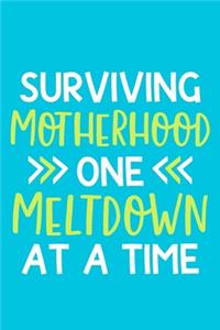 Surviving Motherhood One Meltdown At A Time