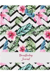 Breastfeeding Journal