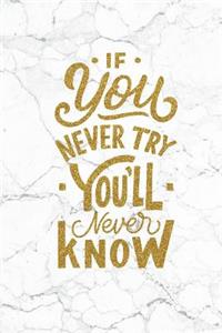 If You Never Try You'll Never Know