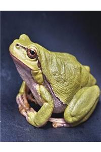 A Darling Frog Graph Paper and College Ruled Notebook