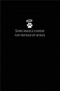 Some Angels Choose Fur Instead of Wings