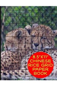 8.5x11 Chinese Rice Grid Paper Book