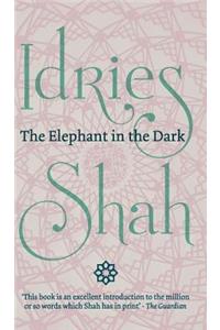 The Elephant in the Dark