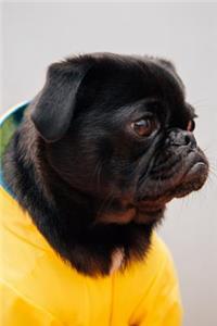 Pug Dot Grid Journal