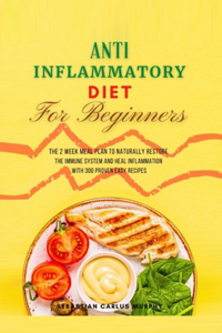 Anti-Inflammatory Diet for Beginners
