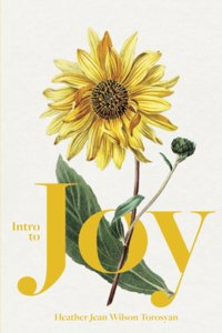 Intro to Joy