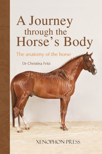 Journey Through the Horse's Body
