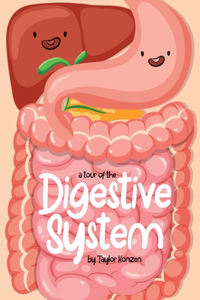 Tour Of The Digestive System