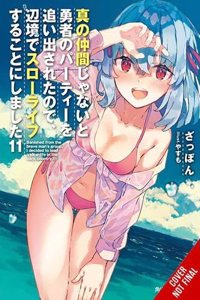 Banished from the Hero's Party, I Decided to Live a Quiet Life in the Countryside, Vol. 11 (light novel)