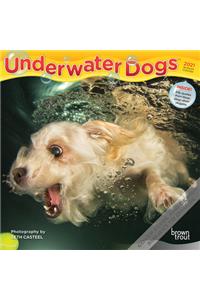 Underwater Dogs 2021 Mini 7x7