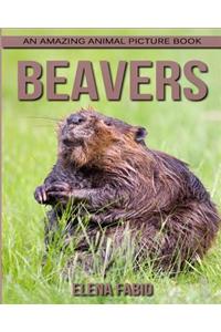 Children's Book
