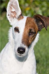 Smooth Fox Terrier Journal
