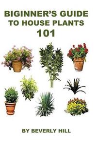 Beginner's Guide to Houseplants 101