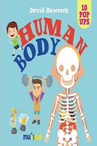 10 Pop Ups: Human Body