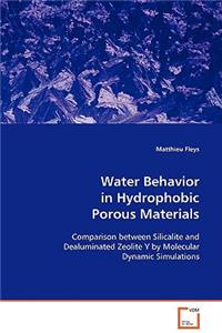 Water Behavior in Hydrophobic Porous Materials