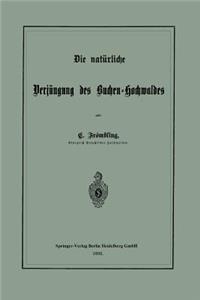 Die natürliche Verjüngung des Buchen-Hochwaldes