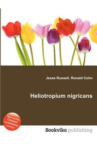 Heliotropium Nigricans