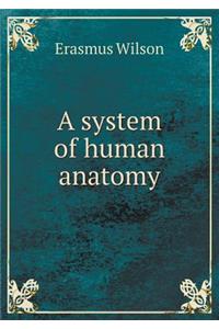 A System of Human Anatomy