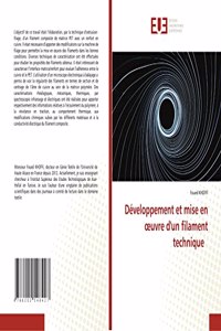 Développement et mise en oeuvre d'un filament technique