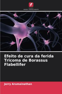 Efeito de cura da ferida Tricoma de Borassus Flabellifer
