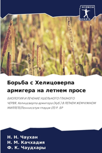 Борьба с Хелицоверпа армигера на летнем пl