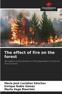 The effect of fire on the forest