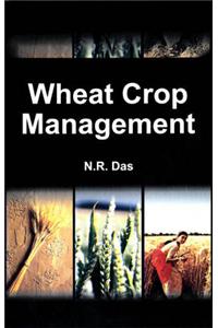 Wheat Crop Management