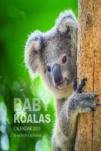 Baby Koalas Calendar 2021