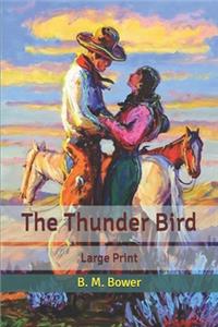 The Thunder Bird
