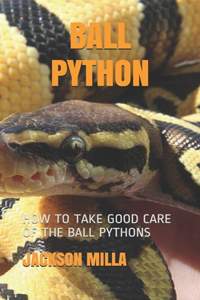 Ball Python