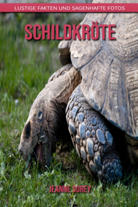 Schildkröte