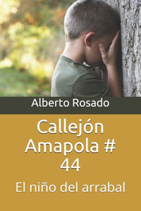 Callejón Amapola # 44