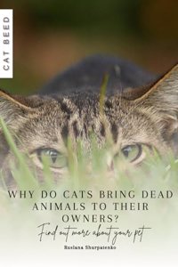 Why do cats bring dead animals to their owners?