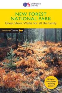 New Forest National Park