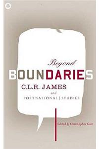 Beyond Boundaries