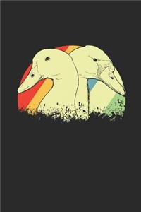 Ducks Retro