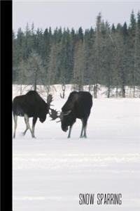 Snow Sparring