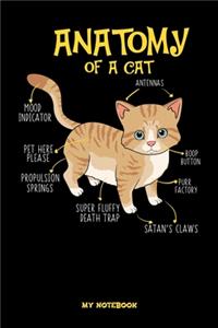 Anatomy Of A Cat My Notebook